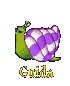 Guida