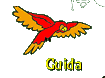Guida