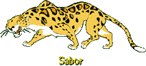 Sabor