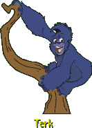 Terk