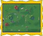 Conga Longa