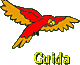 Guida